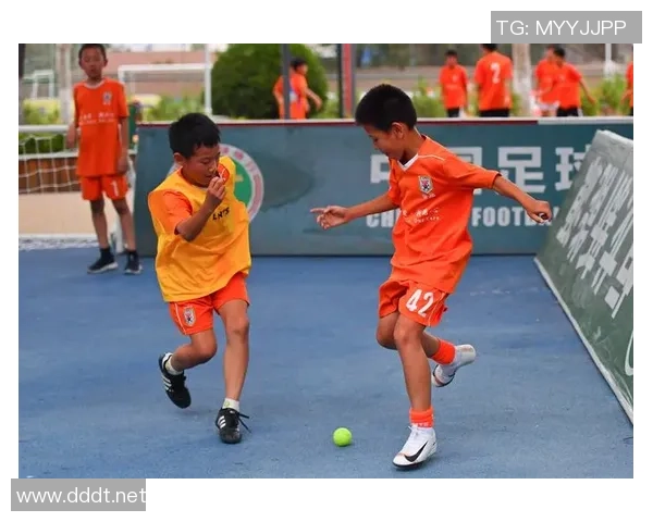 成都网球队的辉煌征程与奥运梦想的追逐之路